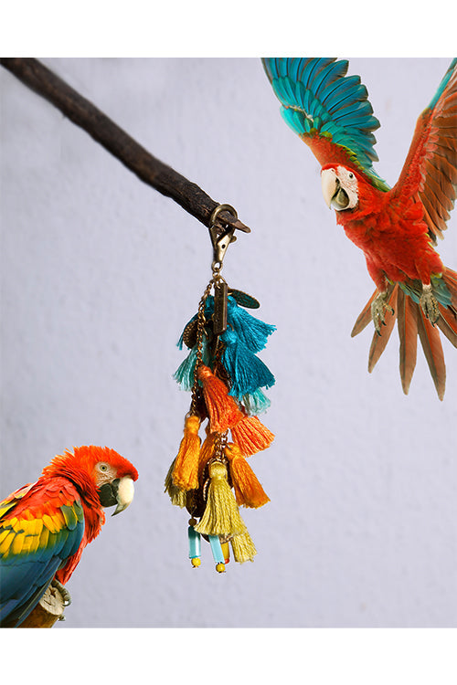 Scarlet Macaw Keycharm
