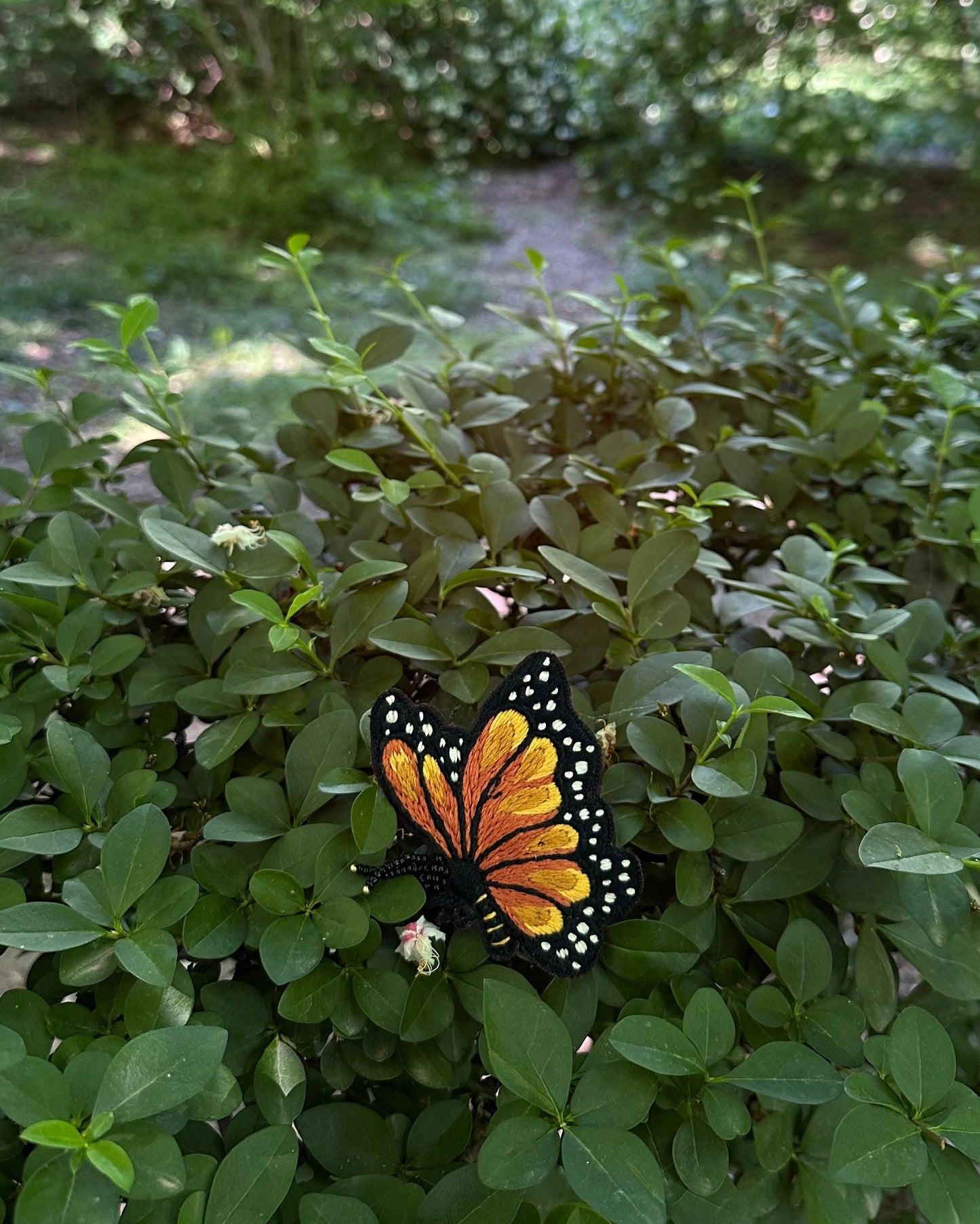 Butterfly brooch on a green leafy plant with a blurred natural background