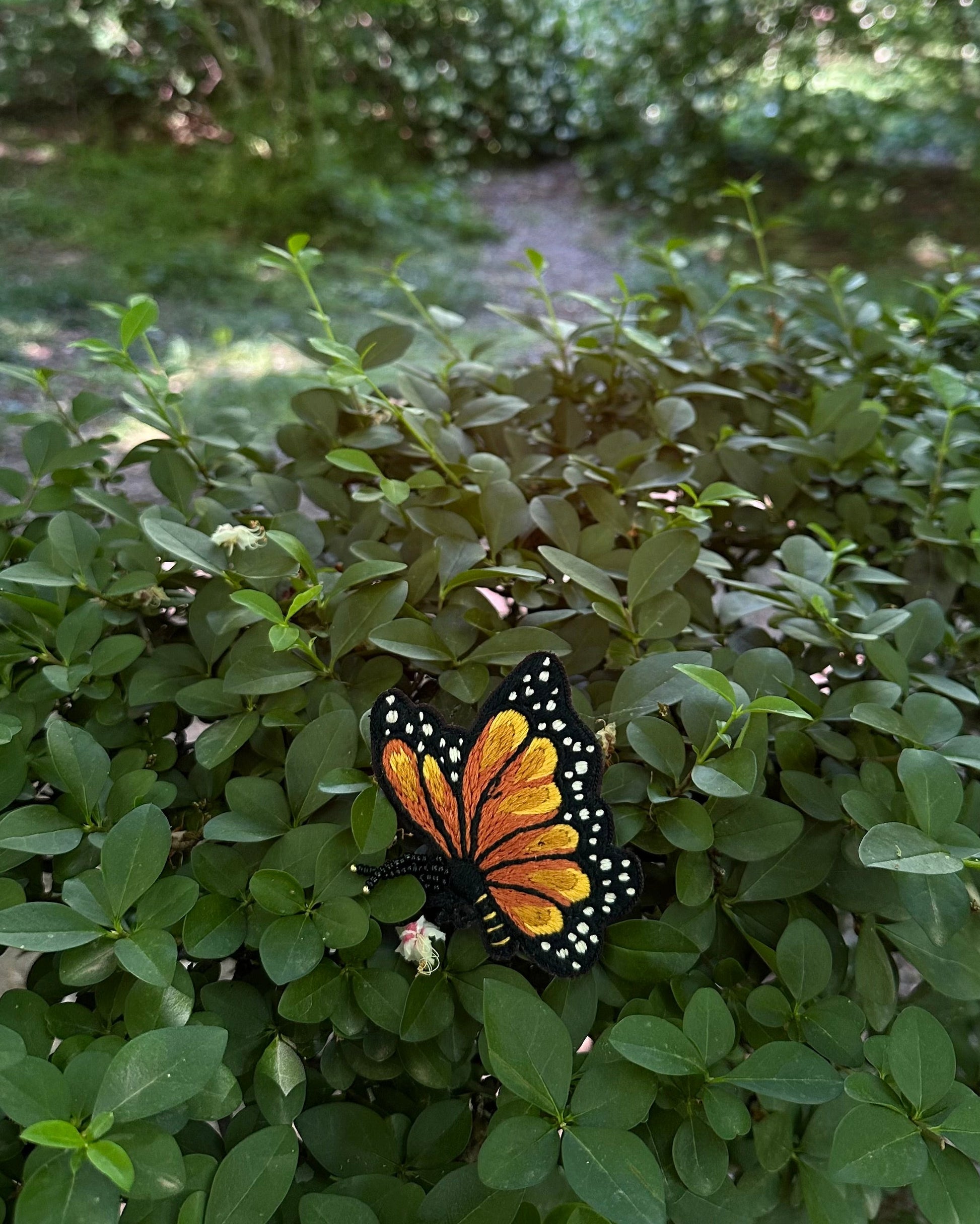 Butterfly brooch on a green leafy plant with a blurred natural background