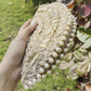 Starlight Pearl White Half Moon Bugle Beads Clutch Bag